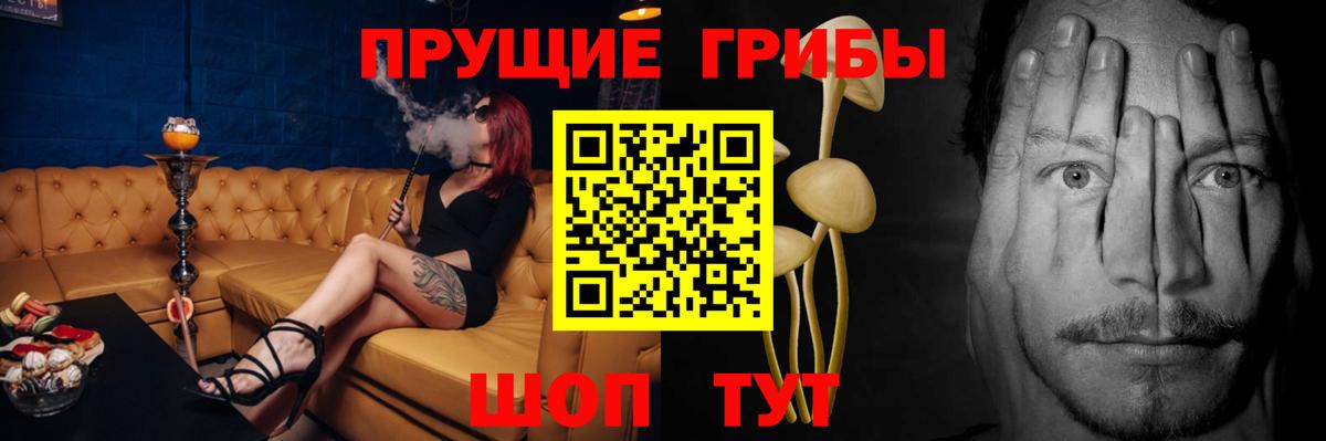Малоярославец  Галлюциногенные грибы GOLDEN TEACHER  Вход с VPN  купить закладку  Псилоцибиновые грибы мухоморы 